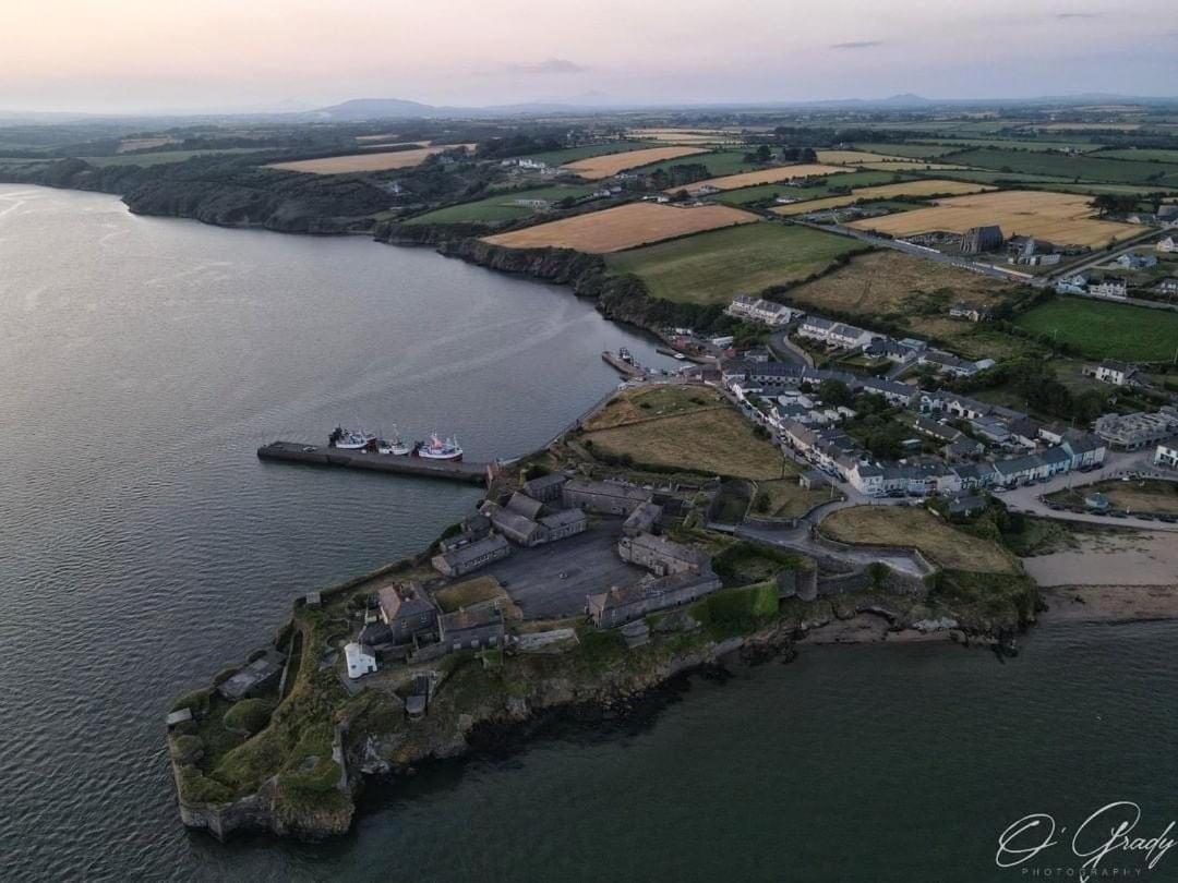 Ballyhack By The Sea Arthurstown エクステリア 写真
