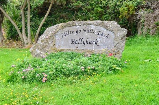 Ballyhack By The Sea Arthurstown エクステリア 写真